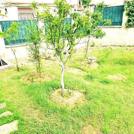 Hostel Luckyshine Vlorë
