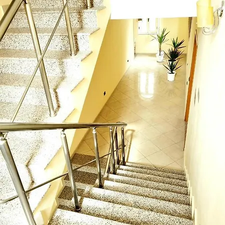 Auberge de jeunesse Luckyshine *