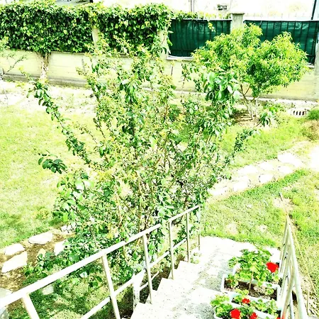 Luckyshine Hostel Vlorë