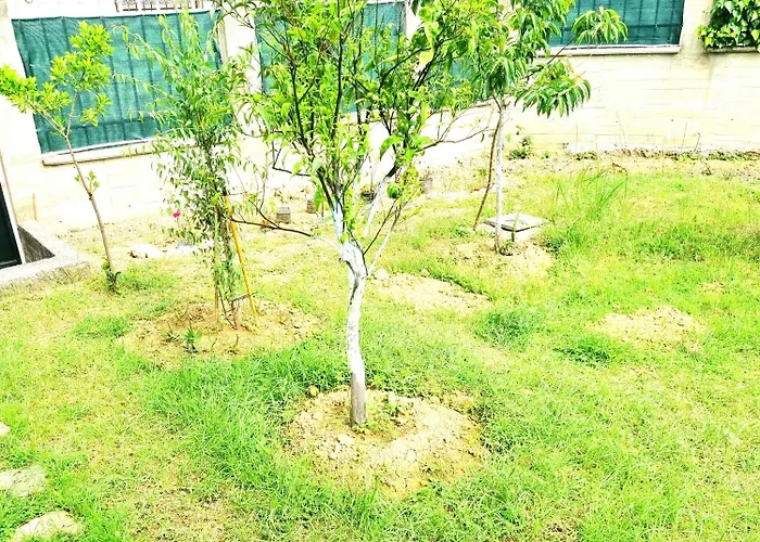 호스텔 Luckyshine